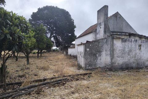Helårsgrund i Palmela, Setubal, Palmela - € 398.500 | Ref: 2074 - foto 41