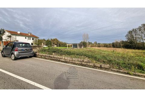 Terra a Argoncilhe, Aveiro, Argoncilhe - € 50.000 | Ref: SÒL_45.Mi.002 - foto 13