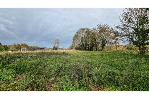 Terra a Argoncilhe, Aveiro, Argoncilhe - € 50.000 | Ref: SÒL_45.Mi.002 - foto 15
