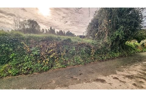 Terra a Argoncilhe, Aveiro, Argoncilhe - € 50.000 | Ref: SÒL_45.Mi.002 - foto 16