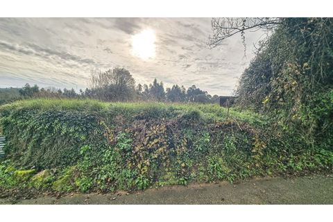 Terra a Argoncilhe, Aveiro, Argoncilhe - € 50.000 | Ref: SÒL_45.Mi.002 - foto 12