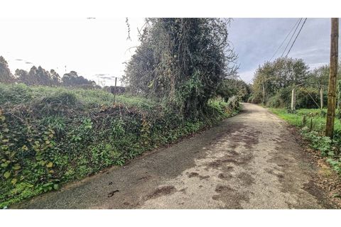 Terra a Argoncilhe, Aveiro, Argoncilhe - € 50.000 | Ref: SÒL_45.Mi.002 - foto 19