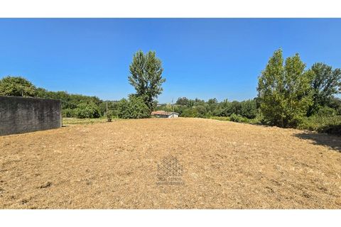 Terra a Argoncilhe, Aveiro, Argoncilhe - € 50.000 | Ref: SÒL_45.Mi.002 - foto 2