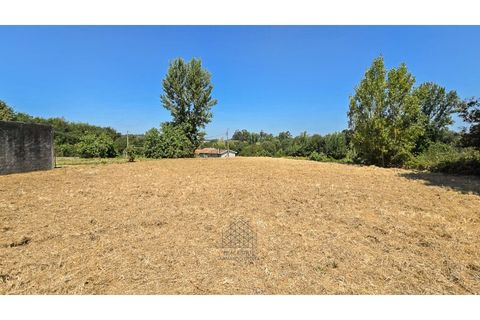 Terra a Argoncilhe, Aveiro, Argoncilhe - € 50.000 | Ref: SÒL_45.Mi.002 - foto 3