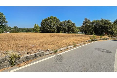 Terra a Argoncilhe, Aveiro, Argoncilhe - € 50.000 | Ref: SÒL_45.Mi.002 - foto 4