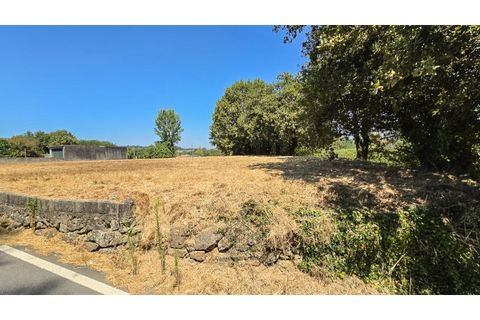 Terra a Argoncilhe, Aveiro, Argoncilhe - € 50.000 | Ref: SÒL_45.Mi.002 - foto 5