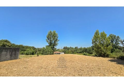Terra a Argoncilhe, Aveiro, Argoncilhe - € 50.000 | Ref: SÒL_45.Mi.002 - foto 6