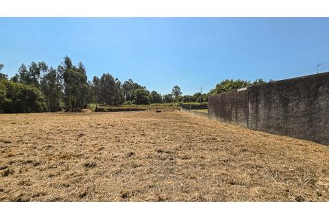 Terra a Argoncilhe, Aveiro, Argoncilhe - € 50.000 | Ref: SÒL_45.Mi.002 - foto 7