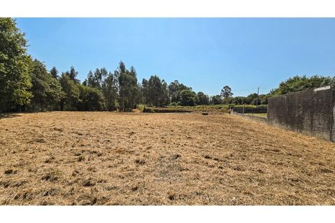 Terra a Argoncilhe, Aveiro, Argoncilhe - € 50.000 | Ref: SÒL_45.Mi.002 - foto 8