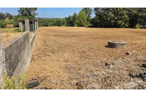 Terra a Argoncilhe, Aveiro, Argoncilhe - € 50.000 | Ref: SÒL_45.Mi.002 - foto 10