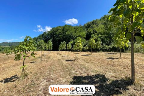 Landejendom i Ponzone, Alessandria, Ponzone - € 35.000 | Ref: 86136802 - foto 1