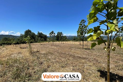 Landejendom i Ponzone, Alessandria, Ponzone - € 35.000 | Ref: 86136802 - foto 3