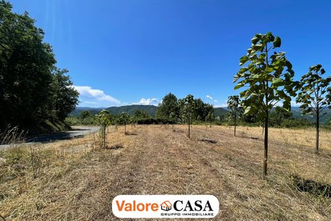 Landejendom i Ponzone, Alessandria, Ponzone - € 35.000 | Ref: 86136802 - foto 4