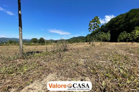 Landejendom i Ponzone, Alessandria, Ponzone - € 35.000 | Ref: 86136802 - foto 8