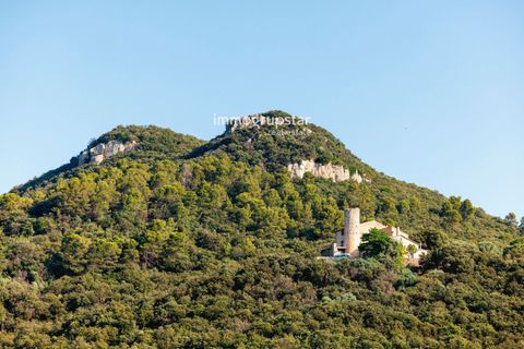 Villa a Amer, Gerona, Amer - € 1.450.000 | Ref: 1219 - foto 6