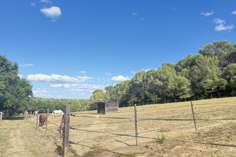 Landejendom i Montpellier, Herault, Montpellier - € 1.260.000 | Ref: 2732-ANG - foto 13
