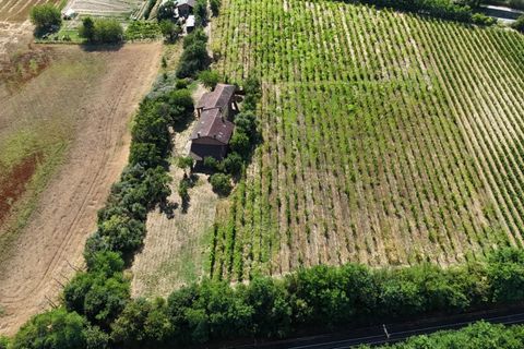 Landejendom i Cassine, Alessandria, Cassine - € 269.000 | Ref: 86134399 - foto 23