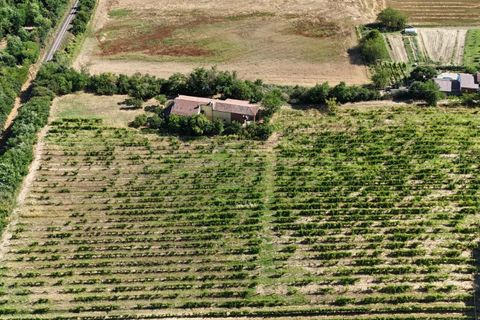 Landejendom i Cassine, Alessandria, Cassine - € 269.000 | Ref: 86134399 - foto 24