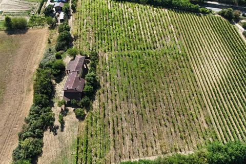 Landejendom i Cassine, Alessandria, Cassine - € 269.000 | Ref: 86134399 - foto 25