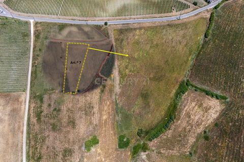 Helårsgrund i Alenquer, Lisbon, Alenquer - € 33.600 | Ref: C0479-00044 - foto 2