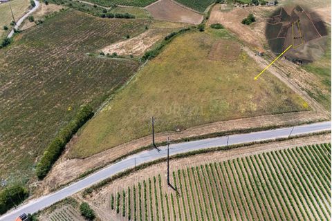 Helårsgrund i Alenquer, Lisbon, Alenquer - € 33.600 | Ref: C0479-00044 - foto 3