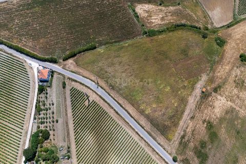 Helårsgrund i Alenquer, Lisbon, Alenquer - € 33.600 | Ref: C0479-00044 - foto 4
