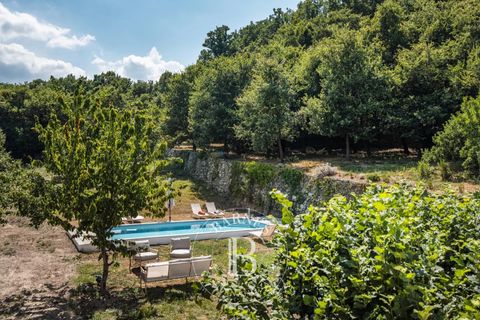 Villa i Saint-Florent, Haute-Corse, Saint-Florent - € 1 200 000 | Ref: RV1921 - foto 19