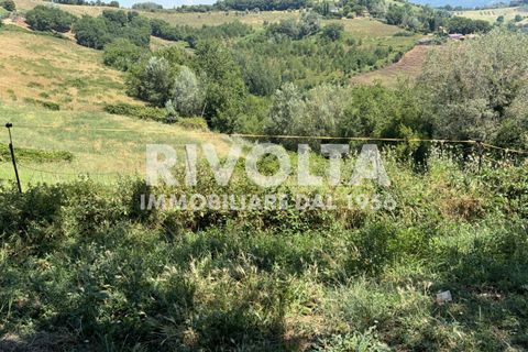 Terra a Collevecchio, Rieti, Collevecchio - € 6.500/mes | Ref: AAG Terreno Collevecchio - foto 2
