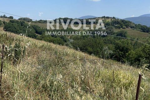 Terra a Collevecchio, Rieti, Collevecchio - € 6.500/mes | Ref: AAG Terreno Collevecchio - foto 3