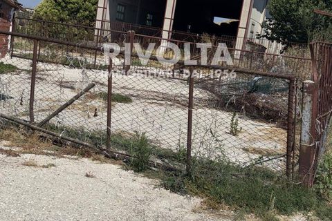 Terra a Collevecchio, Rieti, Collevecchio - € 6.500/mes | Ref: AAG Terreno Collevecchio - foto 5