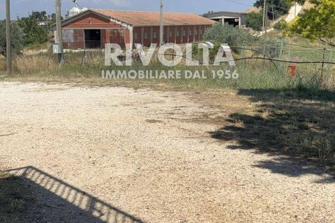 Terra a Collevecchio, Rieti, Collevecchio - € 6.500/mes | Ref: AAG Terreno Collevecchio - foto 6