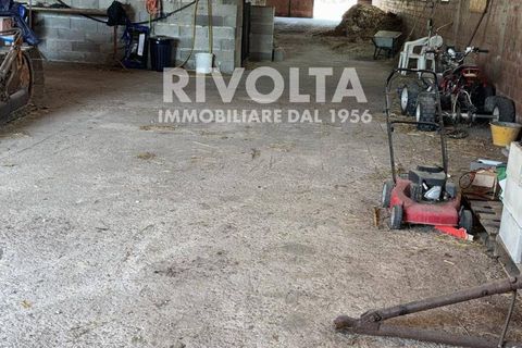 Terra a Collevecchio, Rieti, Collevecchio - € 6.500/mes | Ref: AAG Terreno Collevecchio - foto 7
