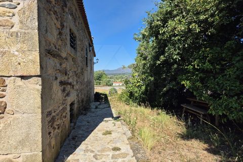Villa i Viana do Castelo, Viana do Castelo, Viana do Castelo - € 560.000 | Ref: MDS4176 - foto 9