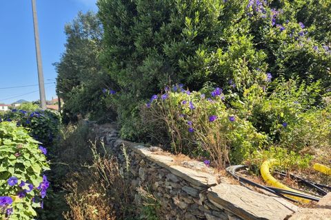 Villa i Viana do Castelo, Viana do Castelo, Viana do Castelo - € 560.000 | Ref: MDS4176 - foto 10