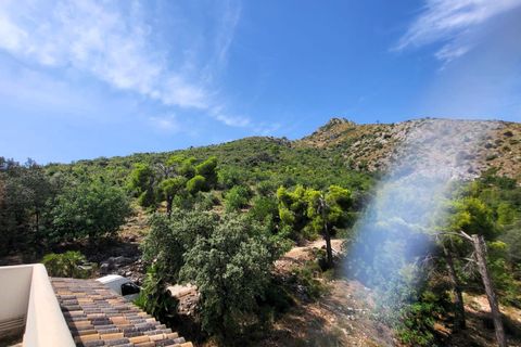 Finca i Pego, Alicante, Pego - € 840.000 | Ref: NVFJ0110 - foto 24