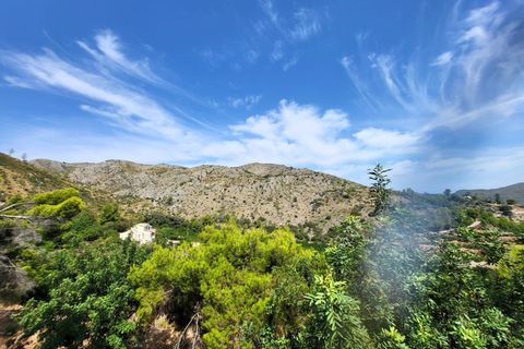Finca i Pego, Alicante, Pego - € 840.000 | Ref: NVFJ0110 - foto 29