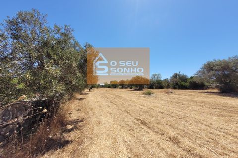 Helårsgrund i Estoi, Faro, Estoi - € 38.000 | Ref: 852-8 - foto 4