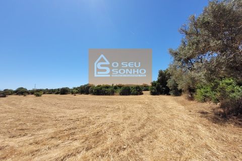 Helårsgrund i Estoi, Faro, Estoi - € 38.000 | Ref: 852-8 - foto 5