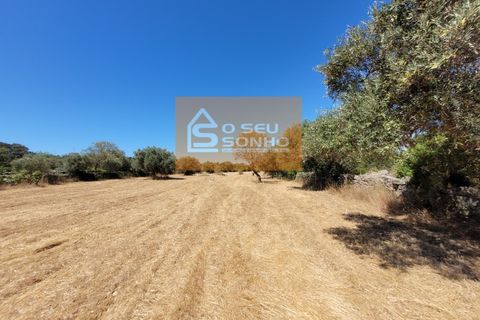 Helårsgrund i Estoi, Faro, Estoi - € 38.000 | Ref: 852-8 - foto 6