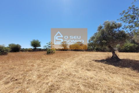 Helårsgrund i Estoi, Faro, Estoi - € 38.000 | Ref: 852-8 - foto 7