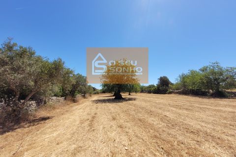 Helårsgrund i Estoi, Faro, Estoi - € 38.000 | Ref: 852-8 - foto 8