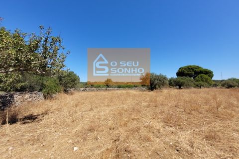 Helårsgrund i Estoi, Faro, Estoi - € 38.000 | Ref: 852-8 - foto 9