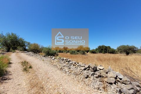 Helårsgrund i Estoi, Faro, Estoi - € 38.000 | Ref: 852-8 - foto 11