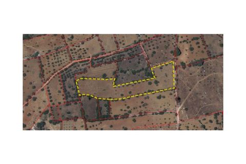 Helårsgrund i Estoi, Faro, Estoi - € 38.000 | Ref: 852-8 - foto 13