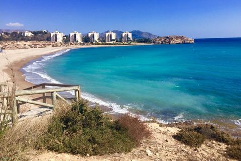Bungalow i Pilar de la Horadada, Alicante - foto 1