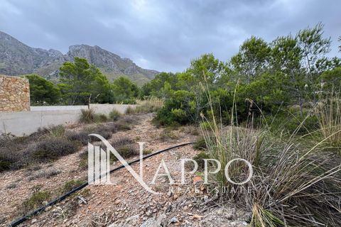 Finca i Arta, Mallorca, Arta - € 265.000 | Ref: 3985 - foto 4