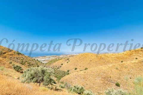 Terreno en Torrox, Malaga, Torrox - € 20.000 | Ref: TP142 - photo 6