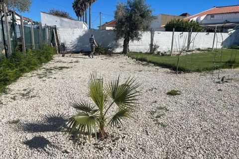 Villa i Beja, Beja, Beja - € 265.000 | Ref: BJ97704 - foto 34