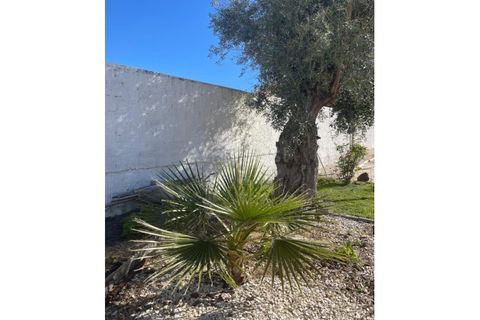 Villa i Beja, Beja, Beja - € 265.000 | Ref: BJ97704 - foto 49