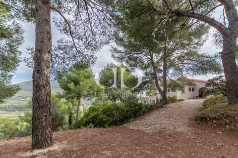 Villa i Cassis, Bouches-du-Rhone, Cassis - € 2.480.000 | Ref: VM - 792 - foto 22